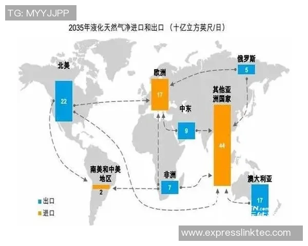 数据分析视角下LNG市场配合表现的深度探讨与未来趋势分析