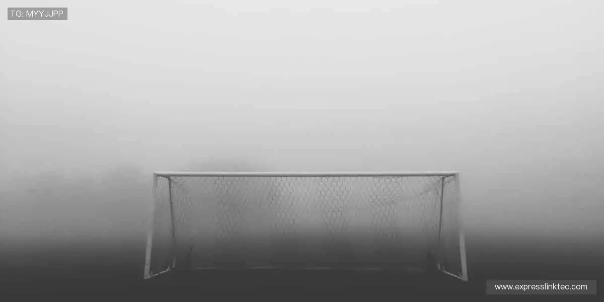 一键订阅，精彩赛事永不缺席🔔✅